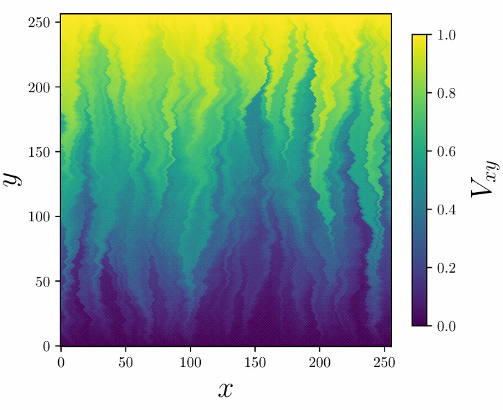 potential distribution